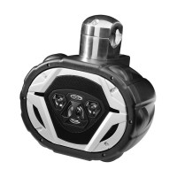Морской динамик на таргу Boss (275 / 550 Вт, 1 шт.)
