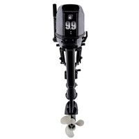 Подвесной лодочный мотор Parsun T9.9BMS Pro (2Т, 294 куб.см.)